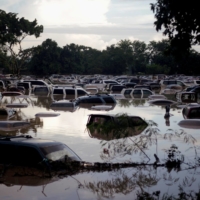 Vehicles are submerged at a plot in La Lima, Honduras, that was flooded by the Chamelecon River in November due to heavy rain. | REUTERS