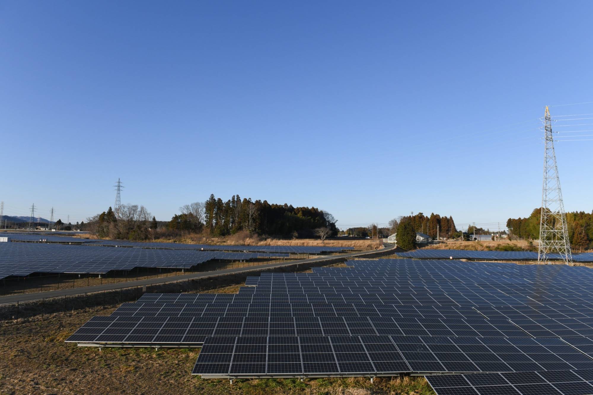 Solar panels installed by Fukushima Electric Power Co. in Tomioka, Fukushima Prefecture | Bloomberg 
