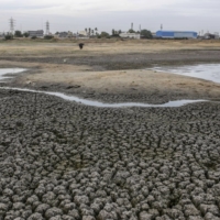 The dried-out Porur Lake in Chennai, on July 5, 2019. The city receives 90% of its rainfall in the northeast monsoon in November and December.  | BLOOMBERG 
