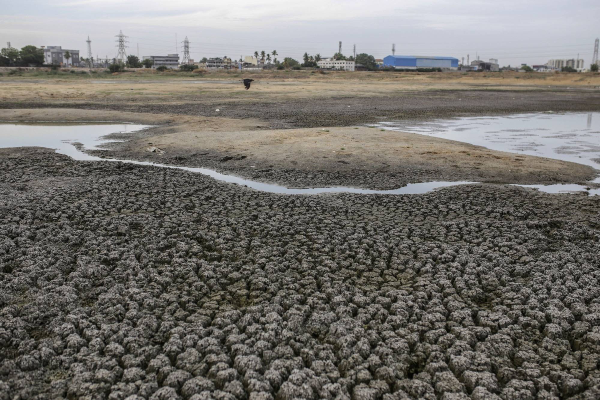 The dried-out Porur Lake in Chennai, on July 5, 2019. The city receives 90% of its rainfall in the northeast monsoon in November and December.  | Bloomberg 