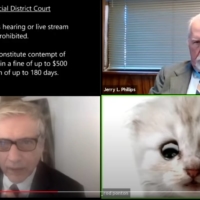 The cute blue-eyed \"cat\" in the bottom right corner, seen in this screenshot from Twitter, was actually county attorney Rod Ponton, covered by a filter on Zoom.