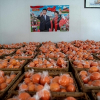Crates of oranges are seen in front of a poster of Chinese leader Xi Jinping at a warehouse in central China\'s Hunan province on Jan. 12. | AFP-JIJI