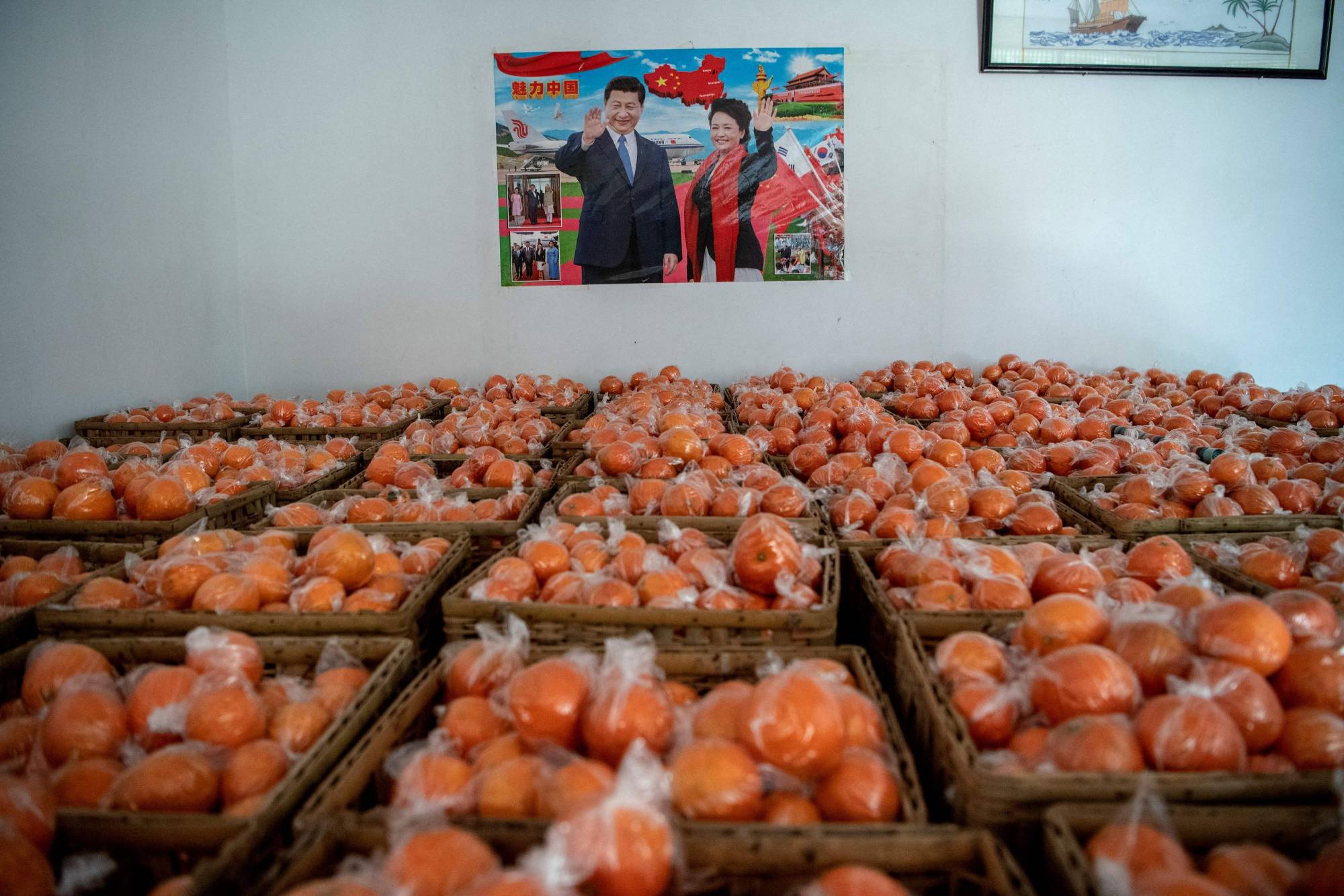 Crates of oranges are seen in front of a poster of Chinese leader Xi Jinping at a warehouse in central China's Hunan province on Jan. 12. | AFP-JIJI