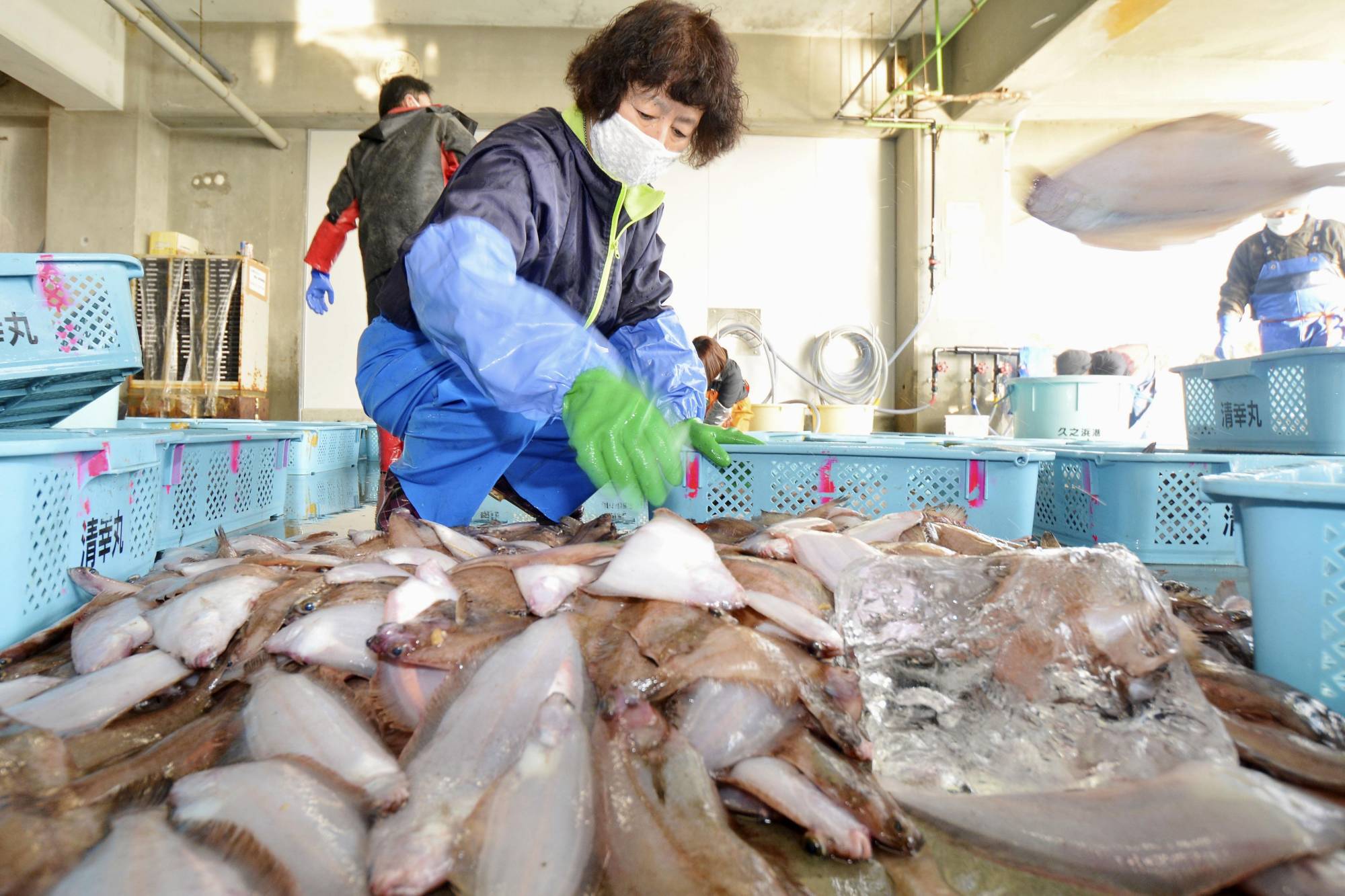 Fish are sorted at a market in Iwaki, Fukushima Prefecture, in January. | KYODO