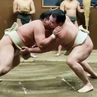 Kakuryu (right) grapples with Kiribayama during a practice session on Wednesday. | JAPAN SUMO ASSOCIATION / VIA KYODO