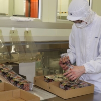 A worker at seafood processing company Hachiyo Suisan Co. in Kesennuma, Miyagi Prefecture, packages products for shipment in February. | KAHOKU SHIMPO
