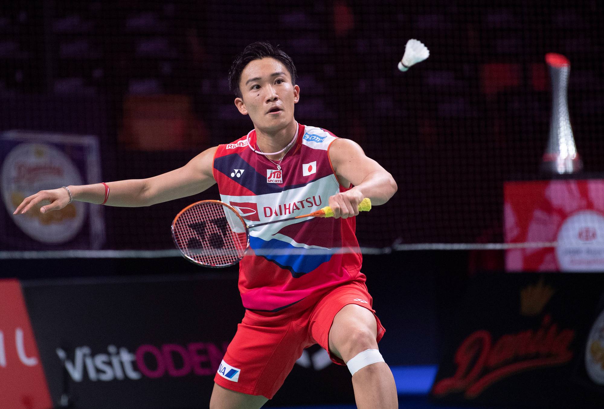 Kento momota cheap