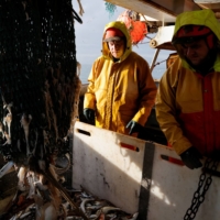 Researchers have calculated for the first time the climate impacts of bottom trawling and found its average yearly carbon emissions  exceeds the annual emissions of all countries except China, the United States, India, Russia and Japan. | REUTERS