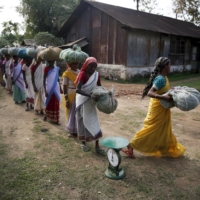 Workers arrive to weigh tea leaves in India\'s Assam state.  | REUTERS