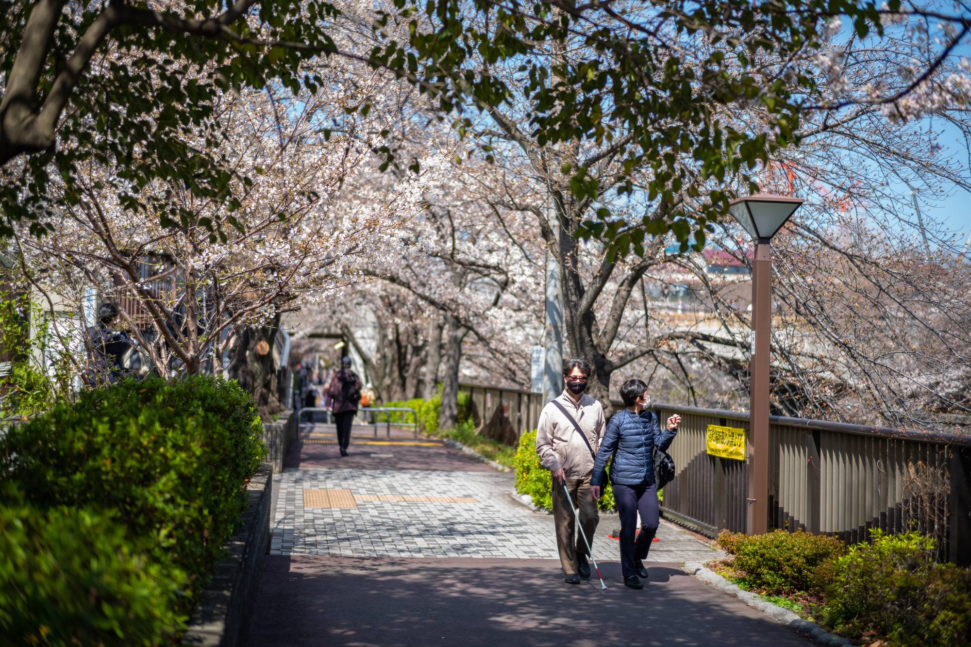 Japan Times