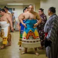 Osunarashi wears a kesho mawashi belt designed by Kototsurugi during the 2013 Nagoya Basho. | JOHN GUNNING
