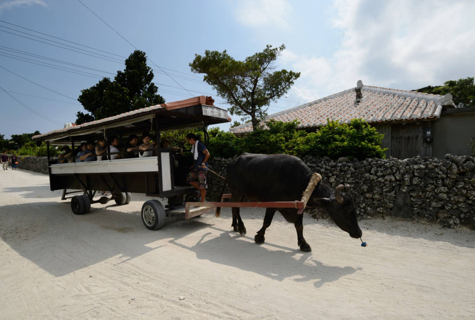 Japan Times