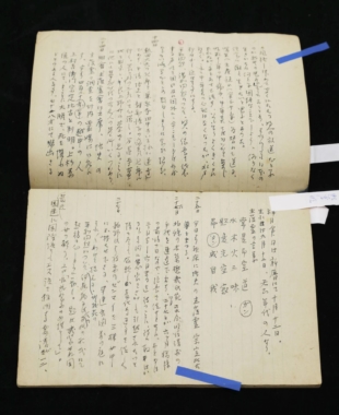 Raicho Hiratsuka's unreleased diary will be displayed at her memorial museum in Nagano Prefecture from this weekend, half a century after her death. | KYODO
