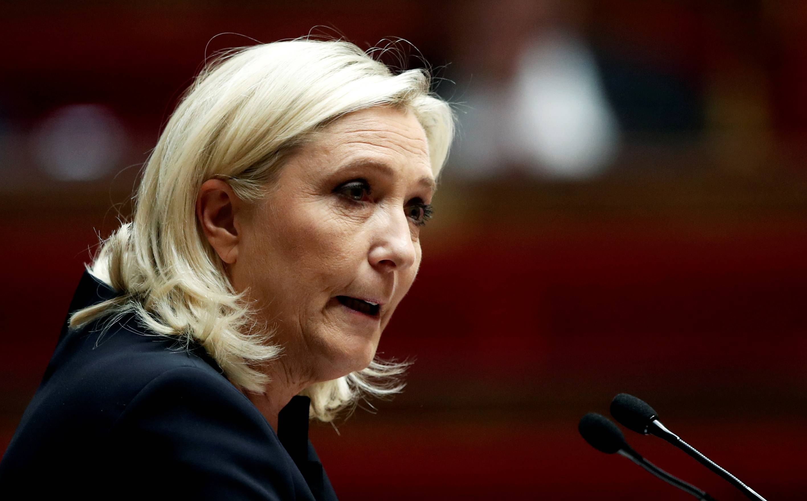 Marine Le Pen, leader of the far-right National Rally party | REUTERS
