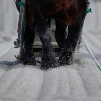 A horse competes during a \"ban\'ei\" race last year at a track in Obihiro, Hokkaido. | REUTERS