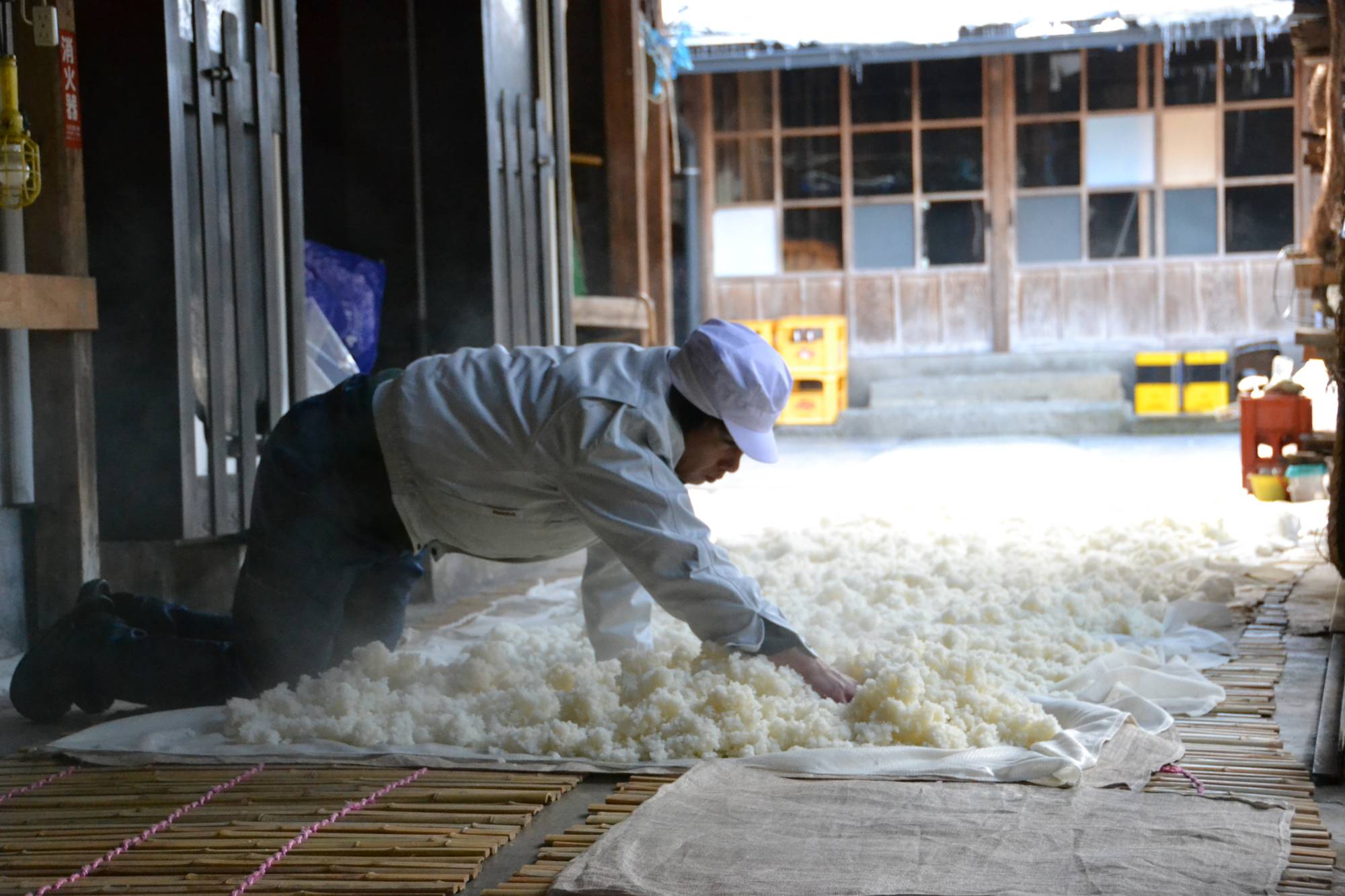 A worker at the Kawashiri Sake Brewery in Gifu Prefecture cools steamed rice during the sake-making process. | COURTESY OF THE KAWASHIRI SAKE BREWERY / VIA KYODO