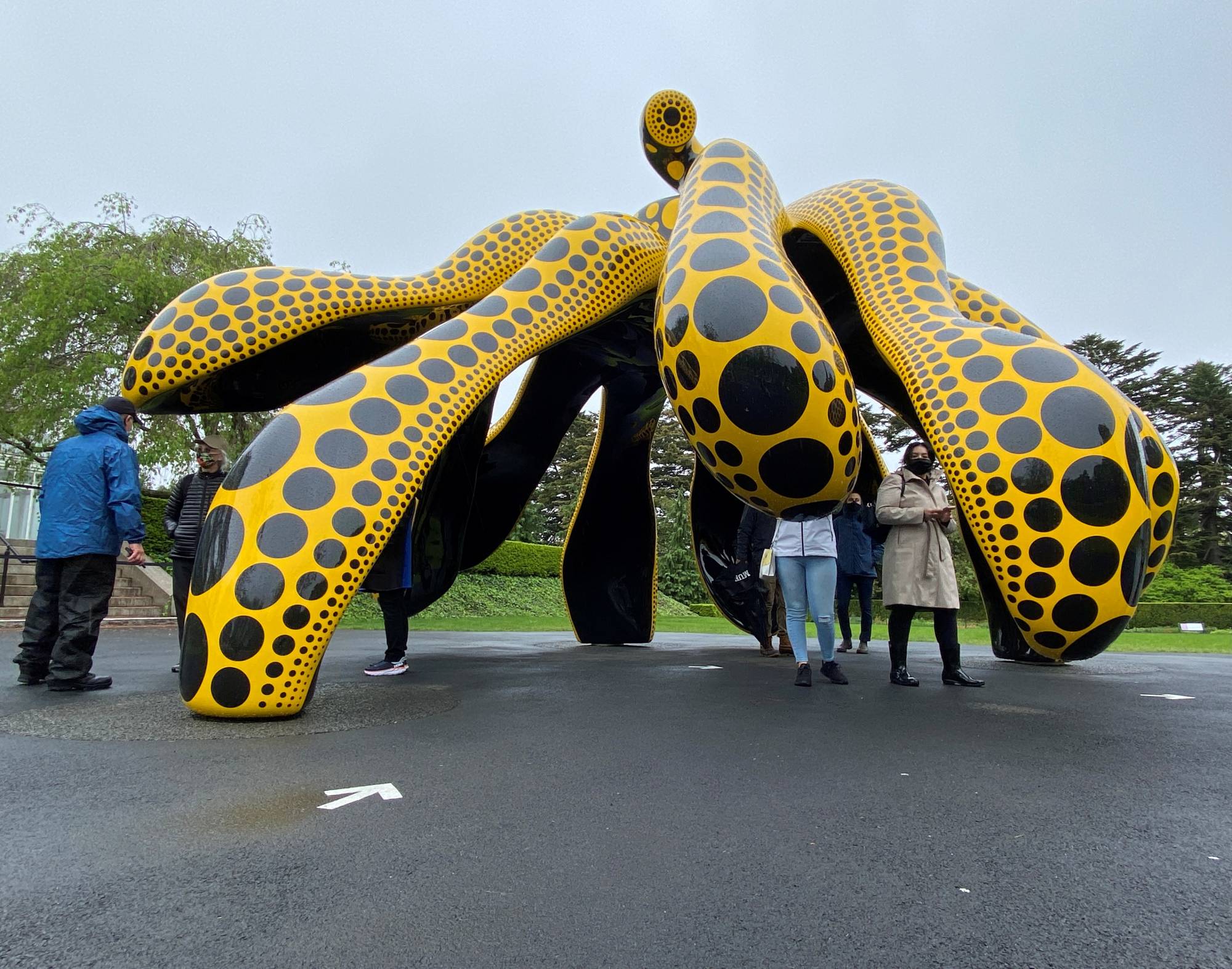 Yayoi Kusama's dots and flowers breathe life into pandemichit New York