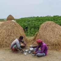 Workers eat their lunch as they take a break from harvesting rice at a paddy field in Kishoreganj, Bangladesh, on Thursday.  | AFP-JIJI