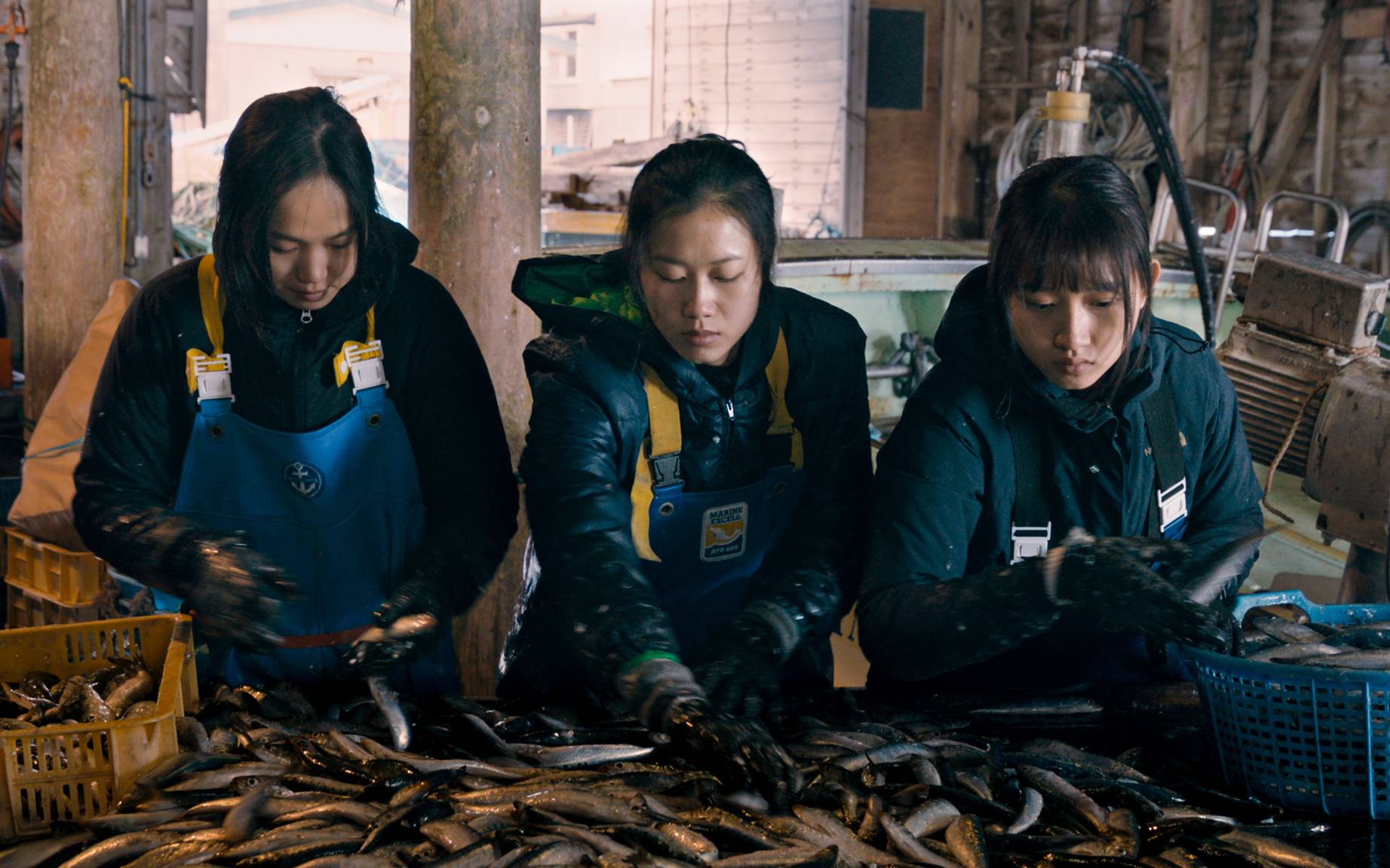 A hard journey: The three protagonists of 'Along the Sea' are not the typical main characters you’d see in a Japanese film as they’re all Vietnamese. According to director Akio Fujimoto, there is a belief that movies with non-Japanese leads won’t do well at the box office. | ©2020 E.X.N K.K. / EVER ROLLING FILMS