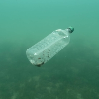 A plastic bottle in the Adriatic sea off Croatia | REUTERS
