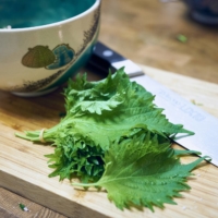 Using shiso makes this multipurpose dressing punchy and herbaceous. | ALEX FISHER