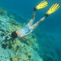 Marine scientist Deborah Brosnan conducts a research dive on a coral reef in Antigua and Barbuda in 2020. | COURTESY OF DEBORAH BROSNAN & ASSOCIATES / VIA REUTERS