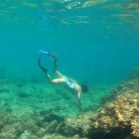 Marine scientist Deborah Brosnan conducts a research dive on a coral reef in Antigua and Barbuda in 2020. | COURTESY OF DEBORAH BROSNAN & ASSOCIATES/ VIA REUTERS