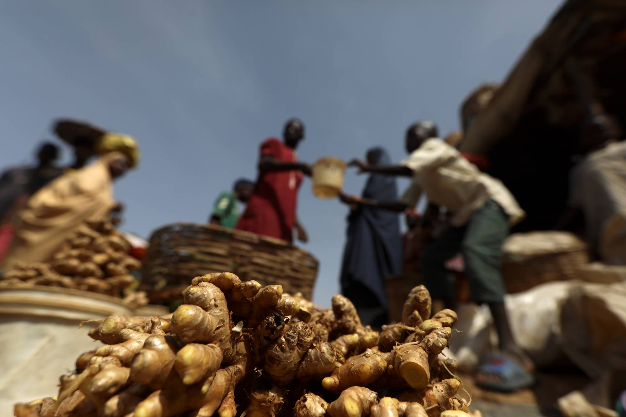 Freshly washed ginger bulbs at a market in Kaduna | Reuters 