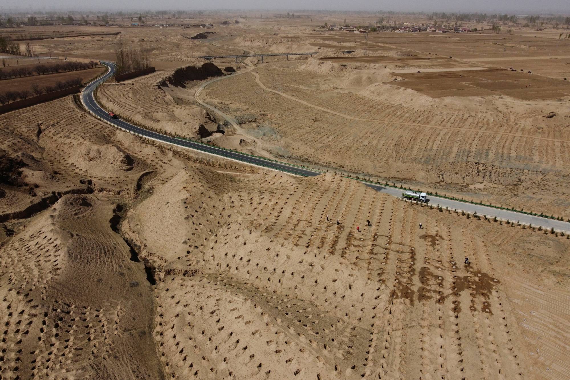Workers water recently planted trees outside a village on the outskirts of Wuwei. | Reuters 