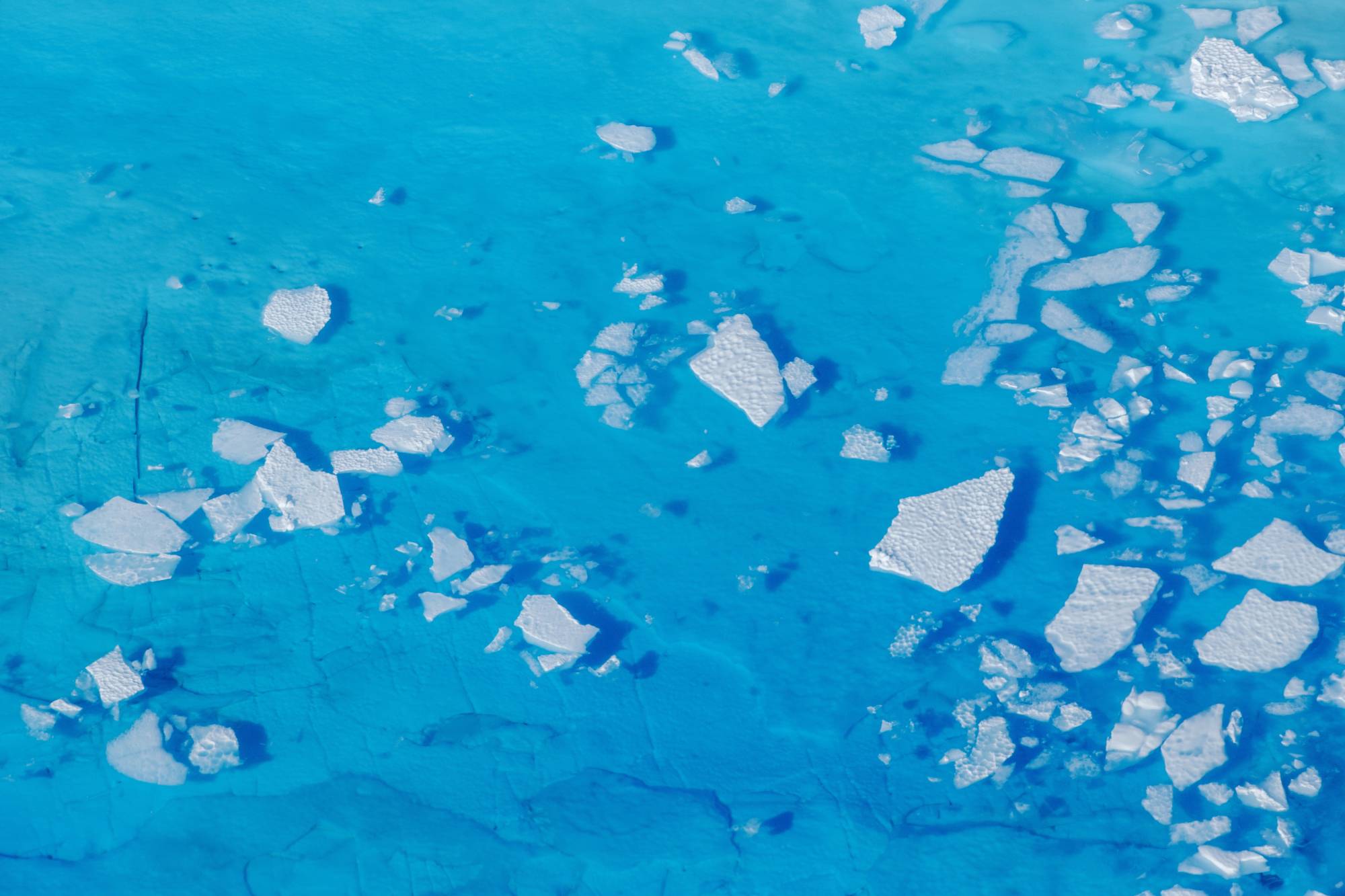 Chunks of ice float inside meltwater pools on top of a glacier near Tasiilaq, Greenland, in 2018. | Reuters 