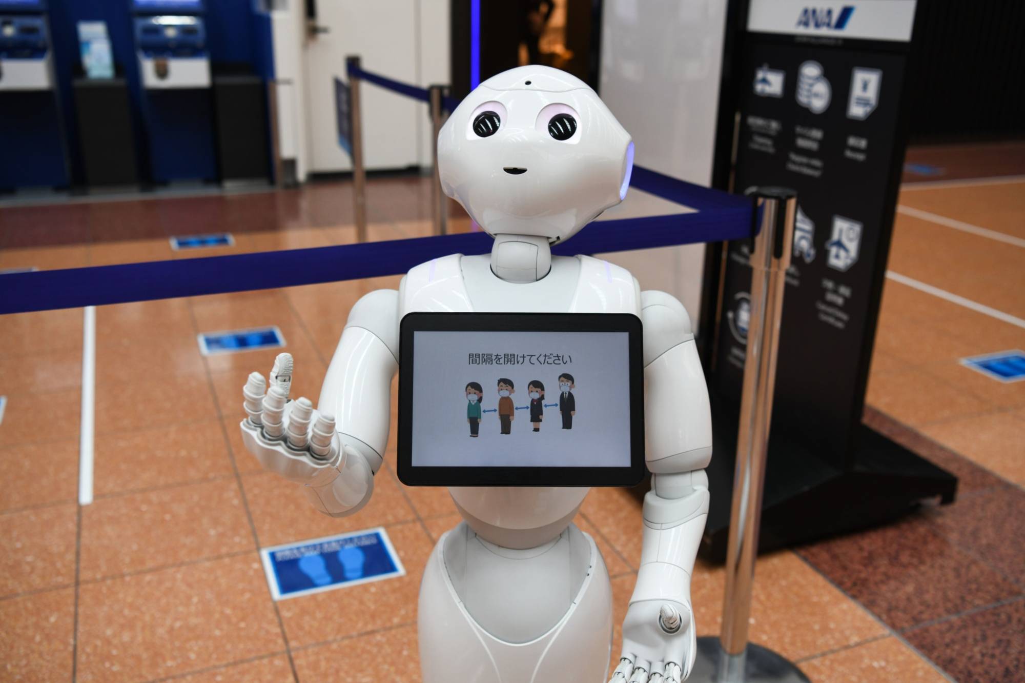 Buy 2025 pepper robot