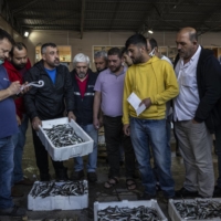 The mucilage in the Sea of Marmara is creating a crisis for the fishing industry: Customers are scared to eat the fish.  | IVOR PRICKETT / THE NEW YORK TIMES