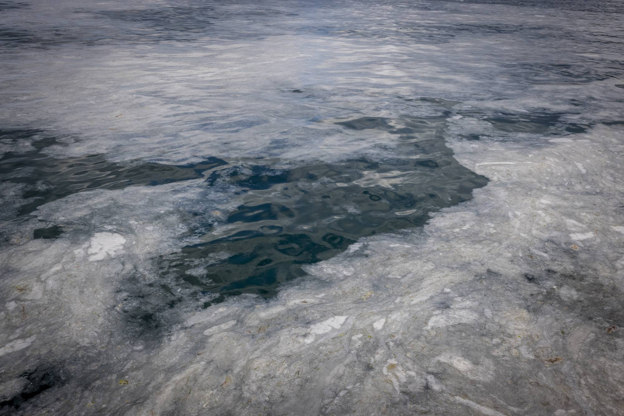 Mucilage collecting in the water at the port in Canakkale, Turkey | Ivor Prickett / The New York Times