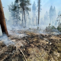 The Bootleg Fire burns near Klamath Falls, Oregon, on July 17. | U.S. FOREST SERVICE / VIA AFP-JIJI