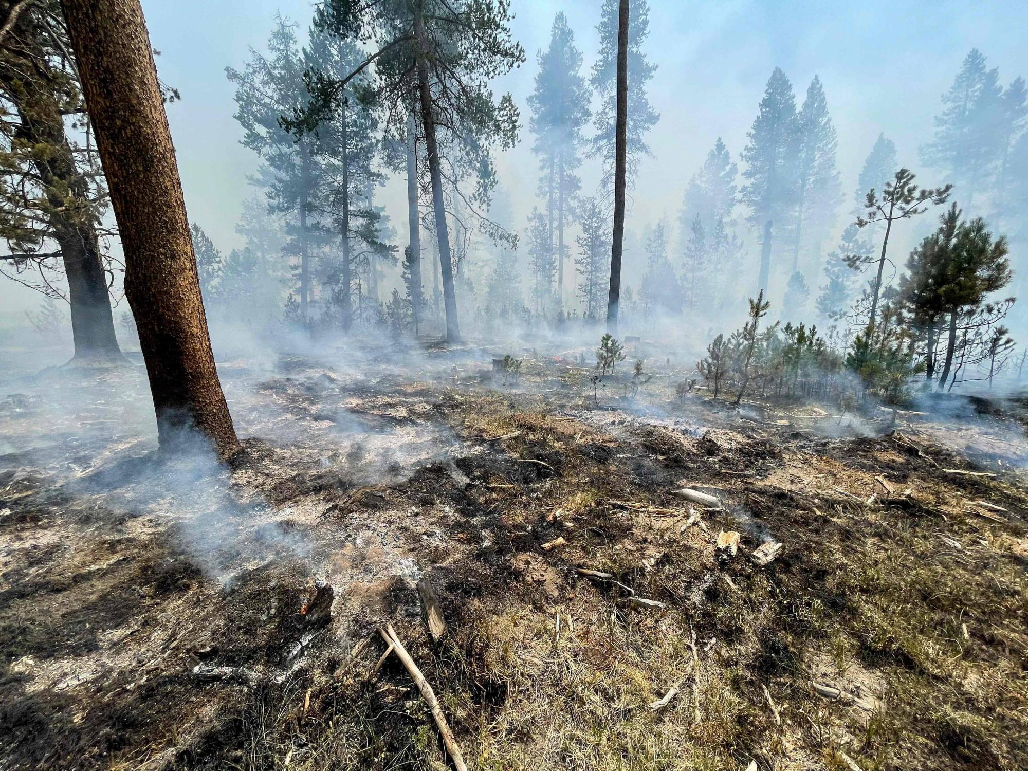 The Bootleg Fire burns near Klamath Falls, Oregon, on July 17. | U.S. FOREST SERVICE / via AFP-Jiji