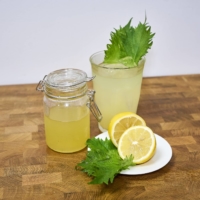 It takes time for water to leach out of the leaves and rinds into the sugar. But it’s worth the wait — the final syrup tastes like distilled sunshine. | ALEX FISHER
