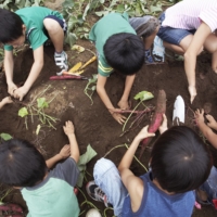 Community affair: Planting a communal garden is a good way to get to know your neighbors.  | GETTY IMAGES
