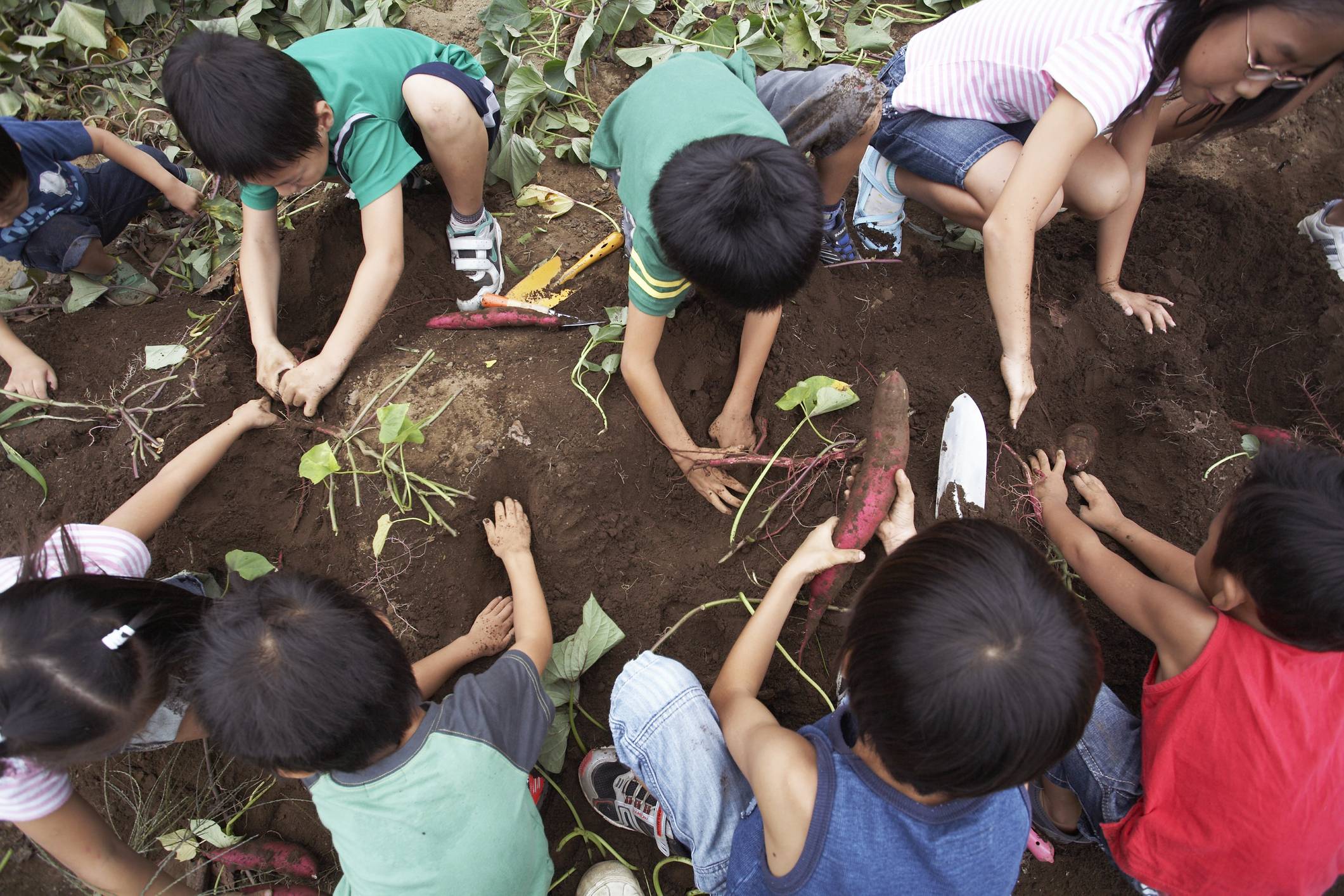 Community affair: Planting a communal garden is a good way to get to know your neighbors.  | GETTY IMAGES