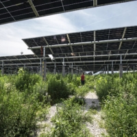 A solar power plant in Tongchuan, China | BLOOMBERG 