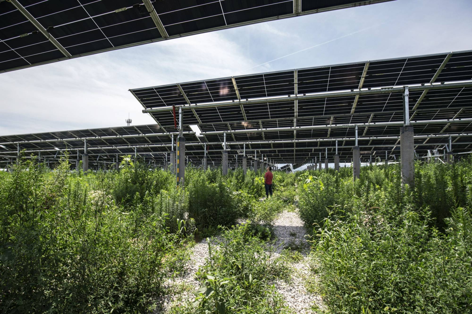 A solar power plant in Tongchuan, China | Bloomberg 