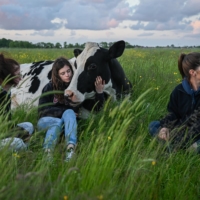 Kristina Berning (center) and her sisters visit with Ellie, a cow that Kristina brought from her father’s dairy farm to Hof Butenland | LENA MUCHA / THE NEW YORK TIMES