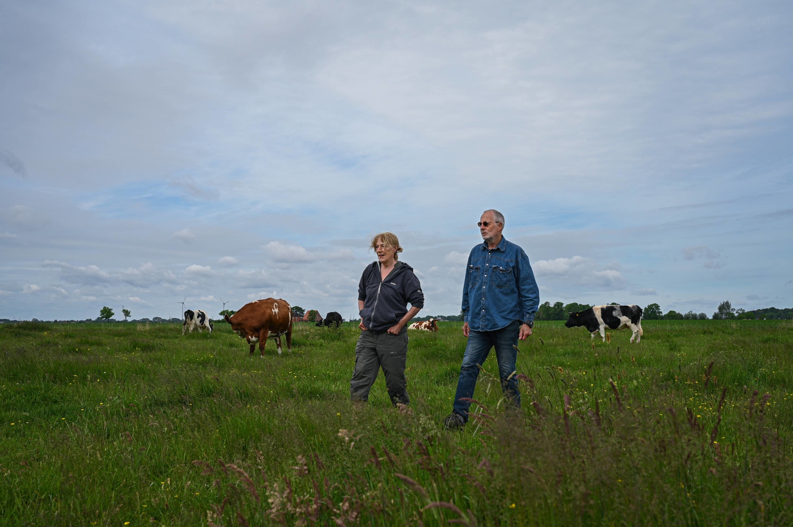 Karin Muck and Jan Gerdes visit the cows at Hof Butenland, an ex-dairy farm that’s become a farm animal retirement home and symbol of veganism and coexistence of people and animals. | LENA MUCHA / THE NEW YORK TIMES