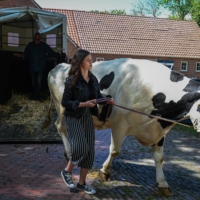 At Hof Butenland, the turn away from animals as commodities is not only a question of human morality but of planetary survival, given the role that industrial farms play in contributing greenhouse gases to the atmosphere. | LENA MUCHA / THE NEW YORK TIMES