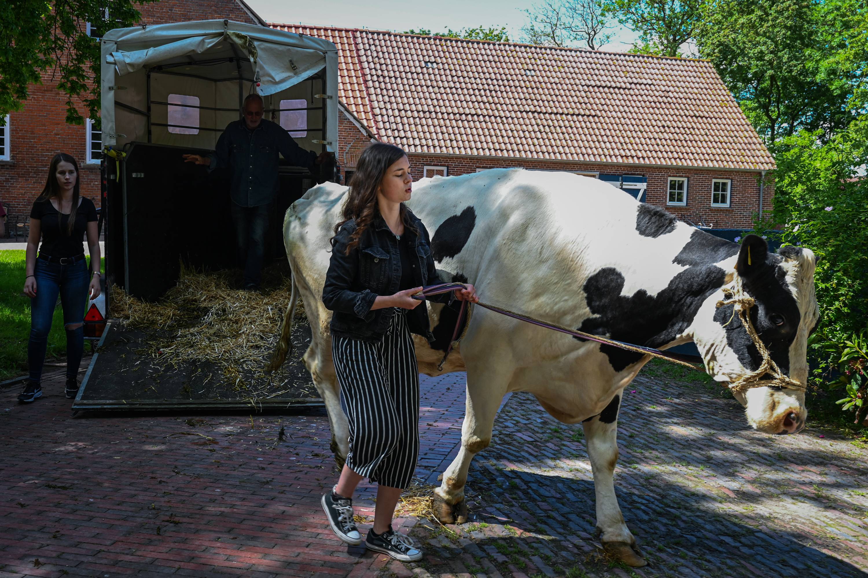 At Hof Butenland, the turn away from animals as commodities is not only a question of human morality but of planetary survival, given the role that industrial farms play in contributing greenhouse gases to the atmosphere. | Lena Mucha / The New York Times
