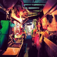 A crowded alley in Shinjuku’s labyrinthine Kabukicho, an entertainment and more recent (compared to Yoshiwara) red-light district that remains open 24 hours a day. | HISAKI KUROSAWA
