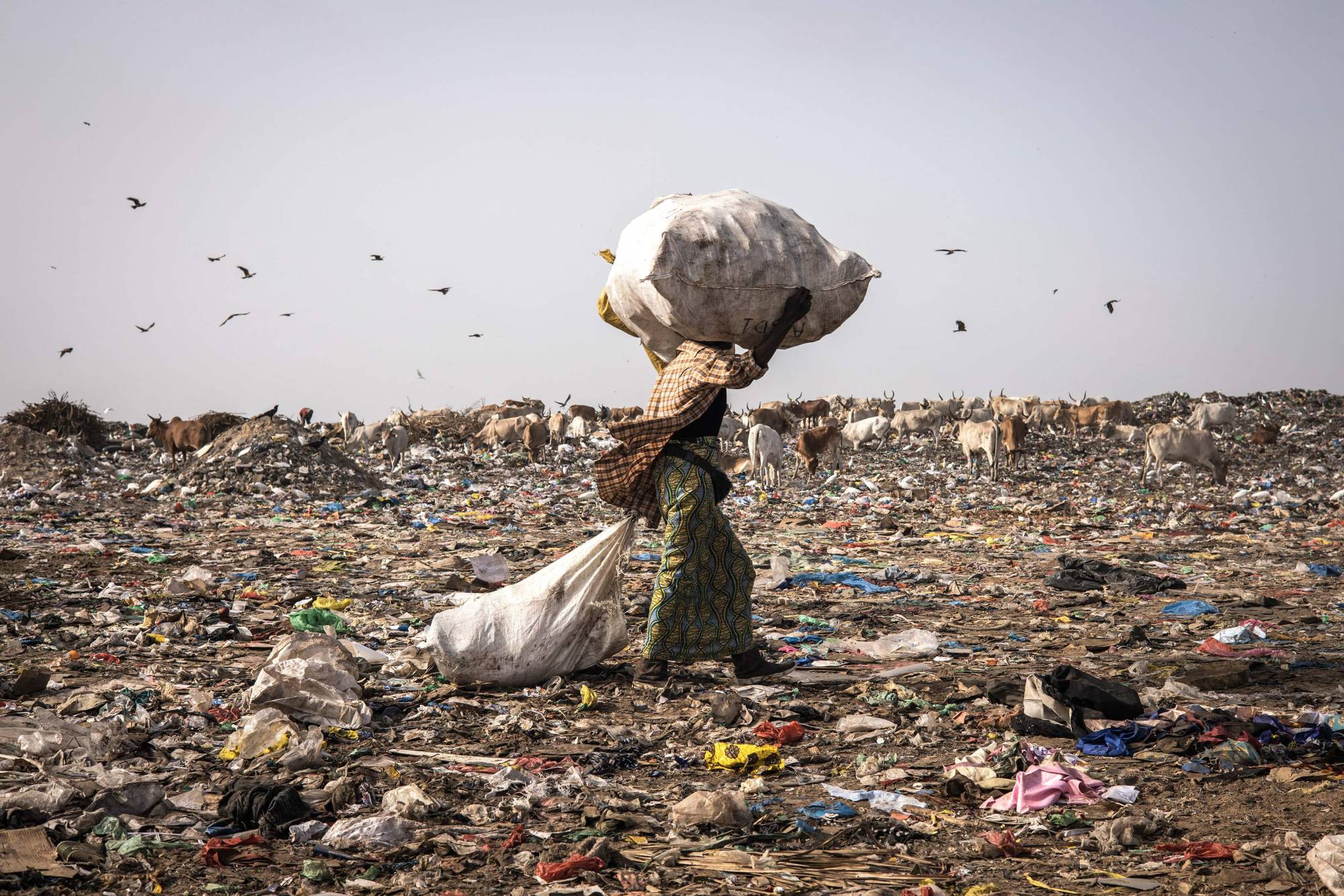 If the world does not abandon the “take-make-waste” consumption pattern by 2050, humankind will need the equivalent of almost three Earths to provide enough natural resources to sustain current lifestyles. AFP-JIJI | AFP-JIJI