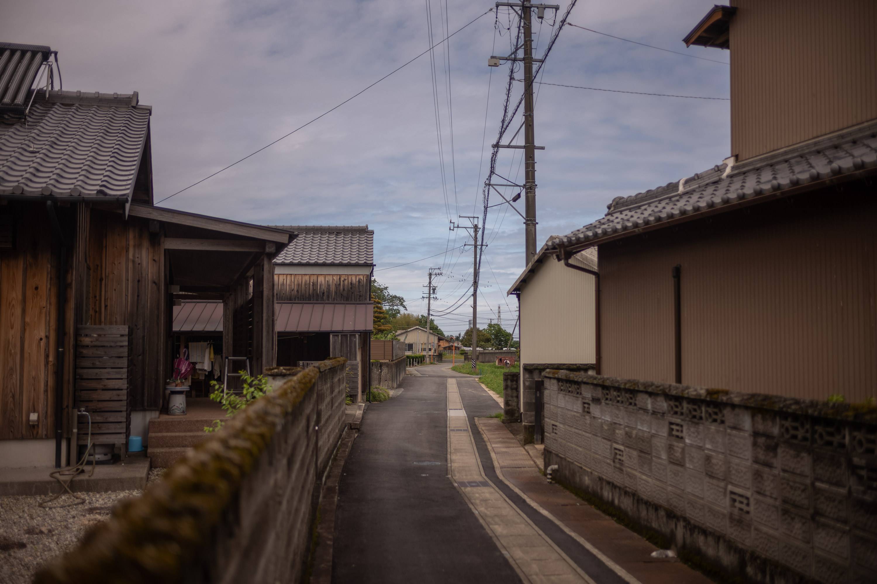 A tranquil view along the Ohechi route of the Kumano Kodo UNESCO World Heritage. | CRAIG MOD