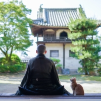 Go deep: A Japanese monk practices zazen meditation. Such moments can help with reflecting on the deeper meanings of life.  | GETTY IMAGES