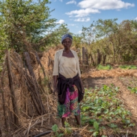 Zvionere Chaku, of Mibre, Zimbabwe, says volunteers with Carbon Green taught her how to farm more expensive vegetables in a small garden rather than clearing land. | BLOOMBERG 
