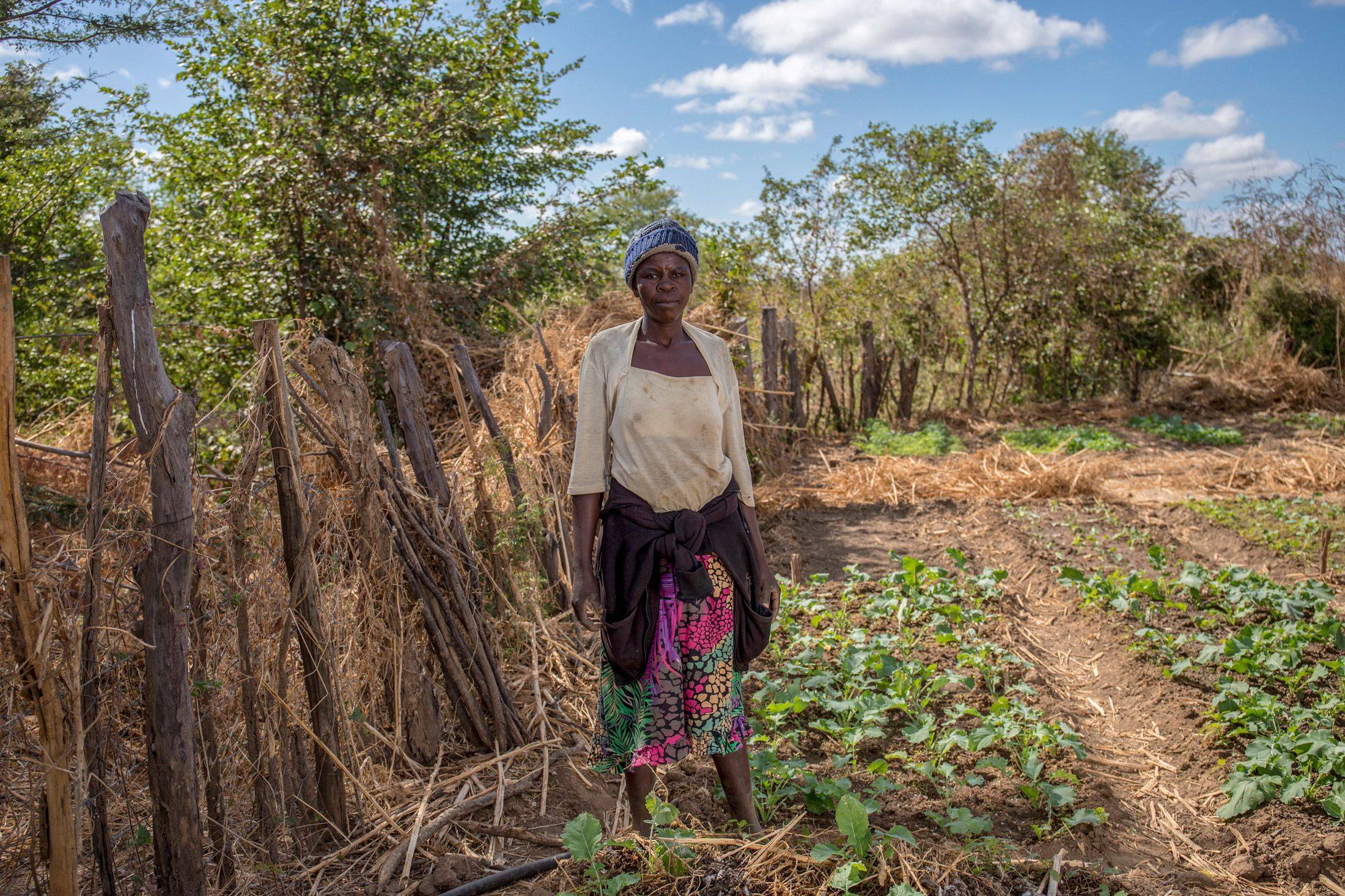 Zvionere Chaku, of Mibre, Zimbabwe, says volunteers with Carbon Green taught her how to farm more expensive vegetables in a small garden rather than clearing land. | Bloomberg 